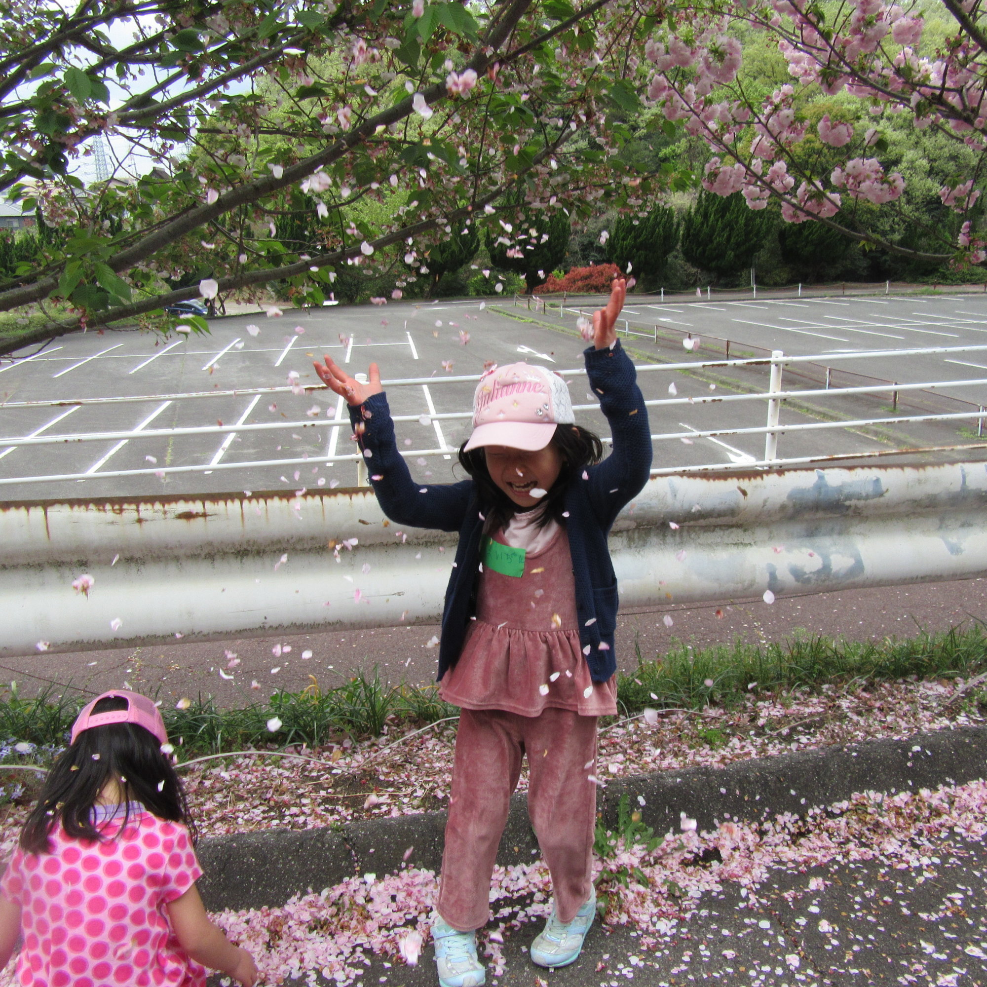 桜吹雪2018