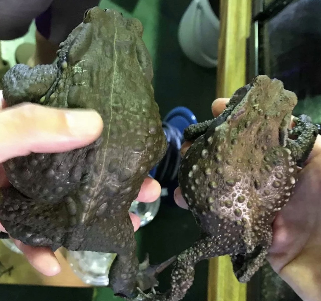 名古屋生物多様性センターバックヤードツアー
